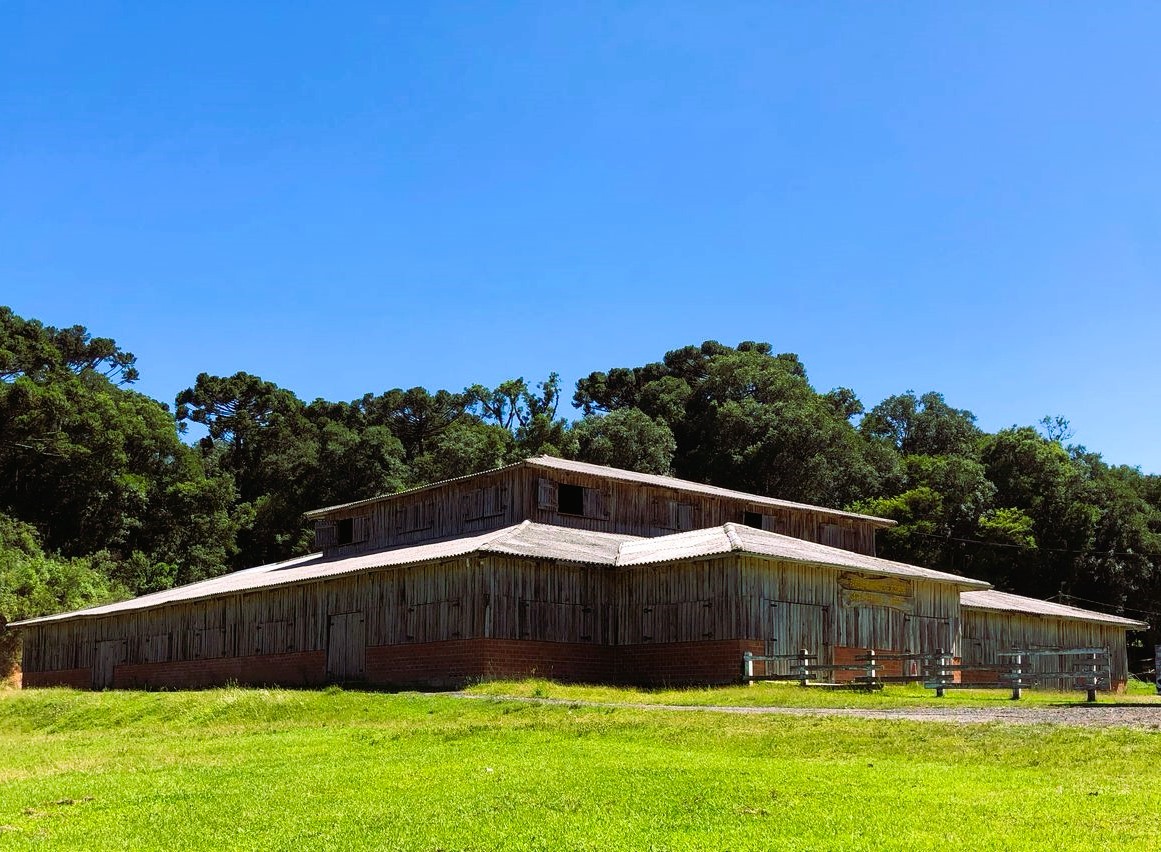 Galpão de madeira e árvores ao fundo